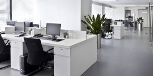 Ergonomic Workstation Assessments